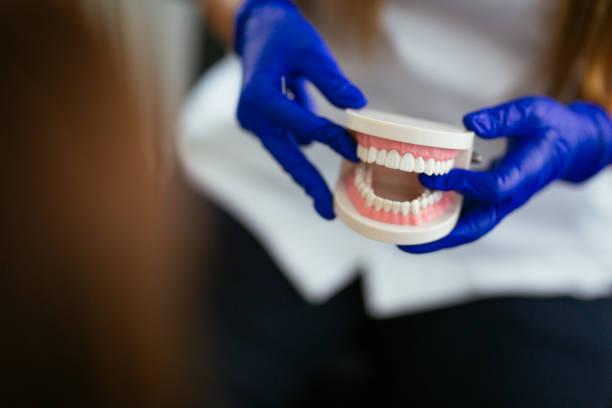 Best Traditional Braces  in Camilla, GA